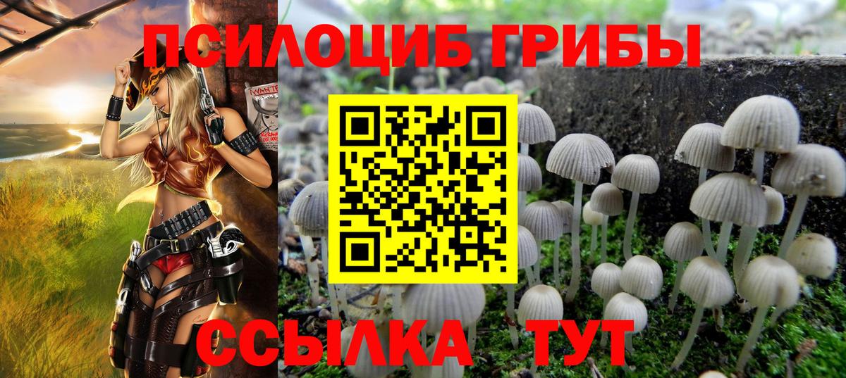 Псилоцибиновые грибы мицелий Благодарный