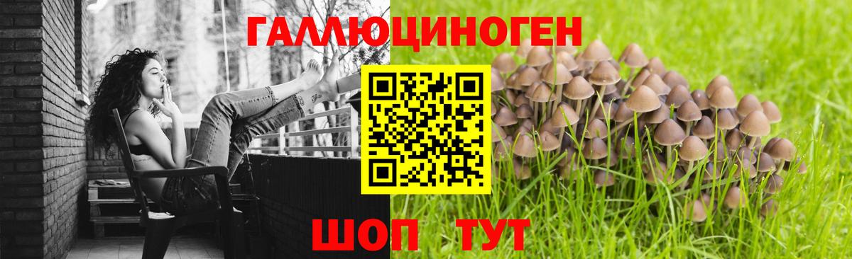 Благодарный  Галлюциногенные грибы MAGIC MUSHROOMS  Вход с VPN 